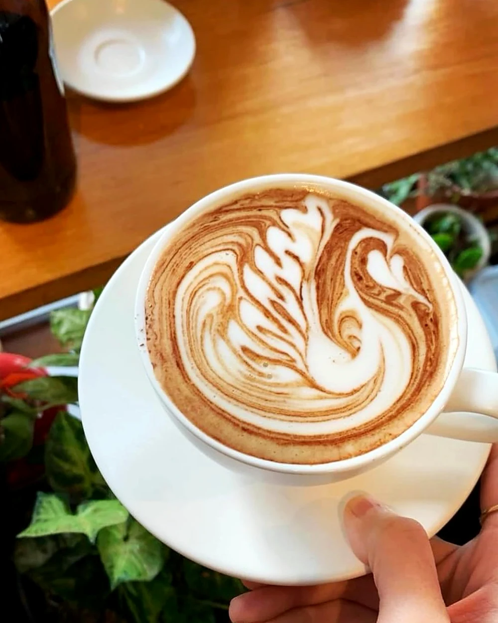 Coffee topped with detailed swan latte art
